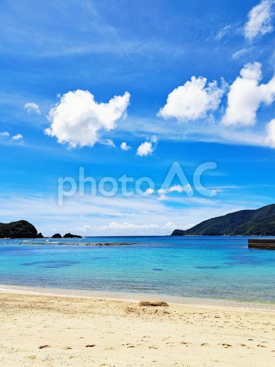奄美　タエン浜 奄美,タエン浜,海の写真素材