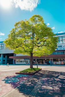 【鳥取】鳥取駅前の風景の写真