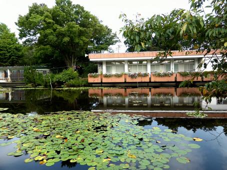 大船FC・池前から対岸の展示室を望む 池,水,水辺の写真素材