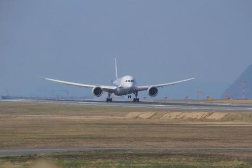 愛媛県松山空港　着陸する旅客機 飛行機,旅客機,anaの写真素材