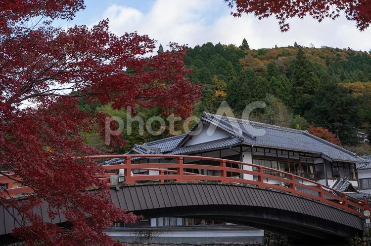 秋の室生寺　赤い橋 室生寺,秋,紅葉の写真素材