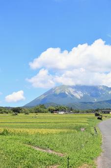 夏の貝田集落 3 夏の貝田集落 3の写真