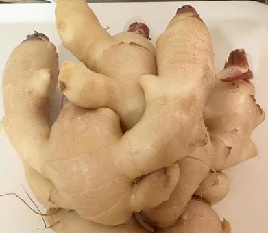 Photo, new ginger, before pickling, rinse, 