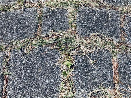 Photo, cobblestone, chi, texture, 