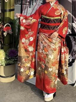 振袖姿の女性 振袖姿の女性 振袖,20歳,晴れ着の写真素材