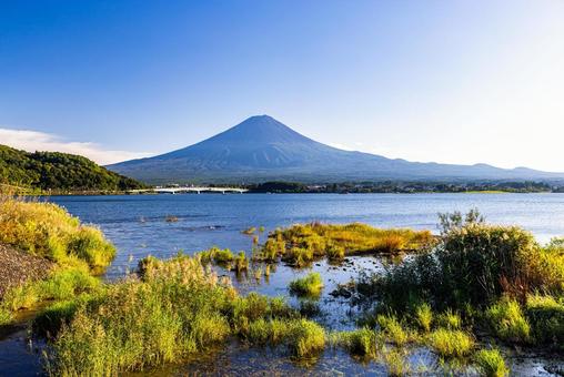 山梨県 河口湖から望む富士山 山梨県 河口湖から望む富士山 富士山,風景,青空の写真素材