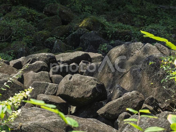 鍋倉渓を埋め尽くす巨石群 鍋倉渓,巨石,岩の写真素材