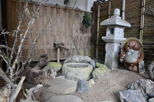Photo, raccoon, raccoon dog, with, 