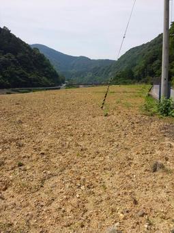 Reclaimed land and utility poles in the mountains, JPG Reclaimed land and utility poles in the mountains, JPG