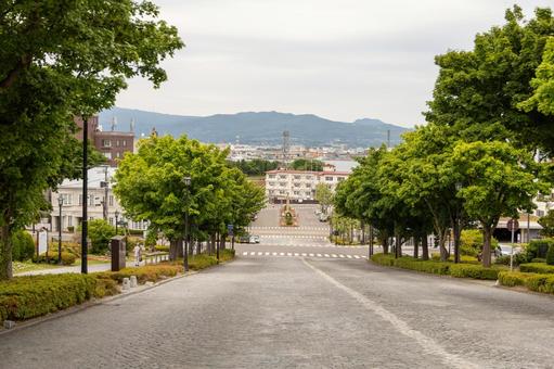 函館の坂道 函館の坂道 基坂,坂道,道路の写真素材