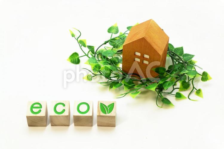 エコな住まい eco,葉っぱ,快適の写真素材