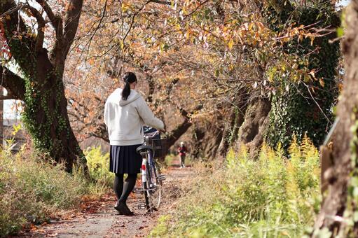 秋のトンネル 秋,紅葉,自転車の写真素材