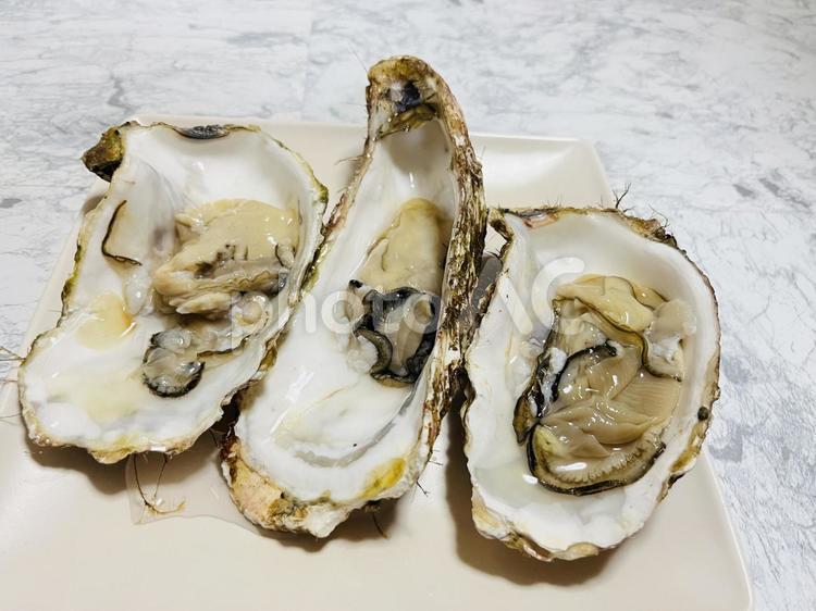 生牡蠣 牡蠣,宮城産,カキの写真素材