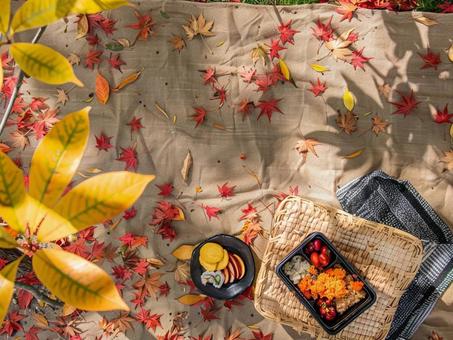 紅葉とお弁当ピクニック 紅葉とお弁当ピクニックの写真
