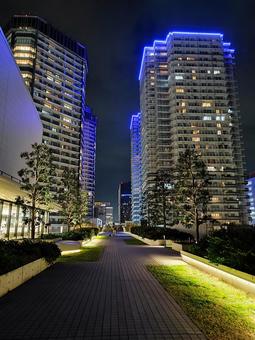 横浜の夜景2 横浜の夜景2の写真