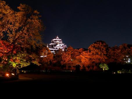 後楽園から見るライトアップされた岡山城 後楽園,岡山城,ライトアップの写真素材