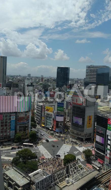 SHIBUYA  〜空と交差点〜 渋谷,スクランブル交差点,東京の写真素材