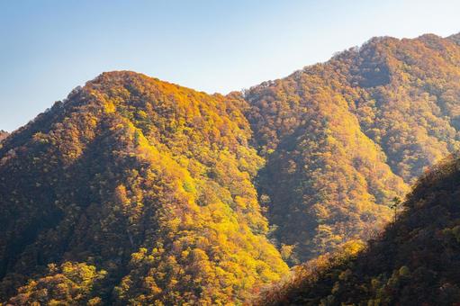 二口渓谷の紅葉⑼ 秋,紅葉,山の写真素材