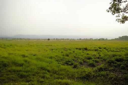 チトワン国立公園 ネパール 11 チトワン国立公園 ネパール 11の写真