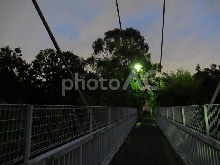 初夏の夜、外灯に照らされた公園の散歩道 公園,水飲み場,緑の写真素材