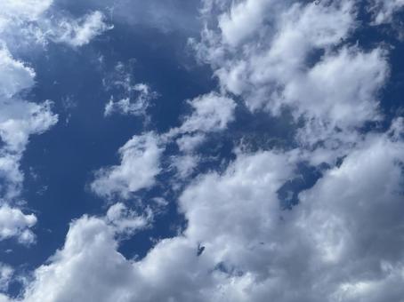 空に雲 空に雲の写真