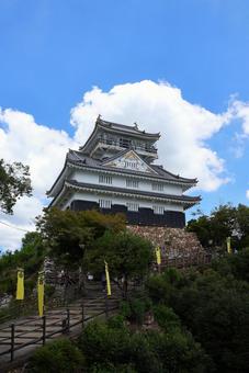 7月下旬の岐阜城の天守 7月下旬の岐阜城の天守 岐阜城,天守,石垣の写真素材