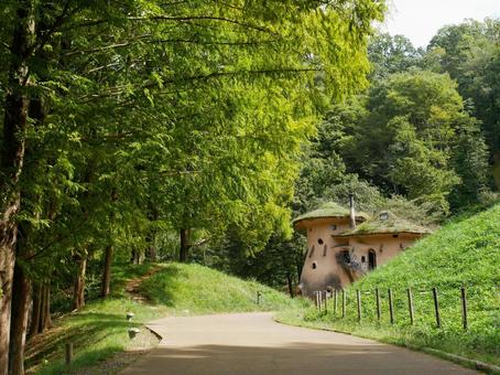ムーミン谷の入口 木陰,公園,メタセコイヤの写真素材