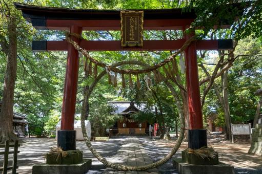 埼玉 氷川女体神社 鳥居と拝殿 埼玉 氷川女体神社 鳥居と拝殿の写真
