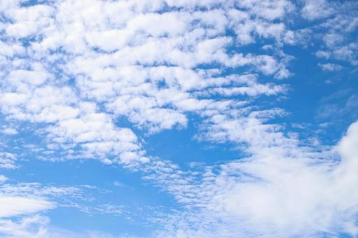 青空 8の写真