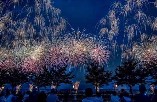 長岡まつり大花火大会 長岡まつり,大花火大会,花火の写真素材