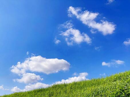 青空 青空,大空,雲の写真素材