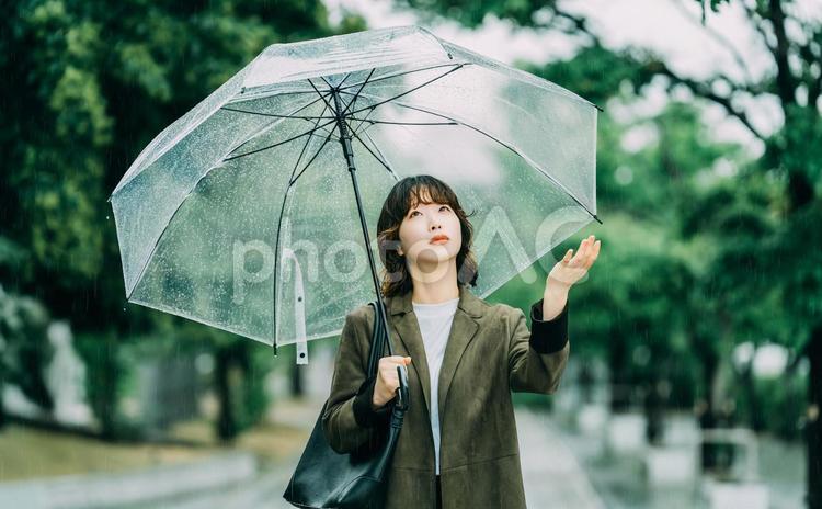 雨の中で傘をさす女性（梅雨・6月） 雨,梅雨,6月の写真素材