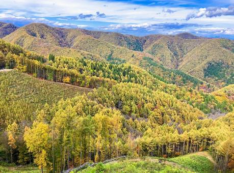 紅葉風景　群馬県十石峠からの眺め 紅葉,赤色,オレンジ色の写真素材