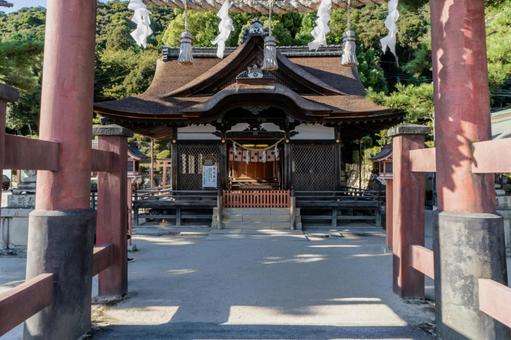 滋賀 白鬚神社 拝殿 滋賀 白鬚神社 拝殿 白鬚神社,白鬚,神社の写真素材