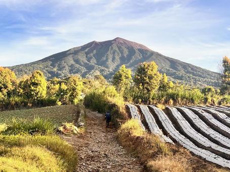 スマトラ島・クリンチ山 クリンチ山,kerinci,スマトラ島の写真素材