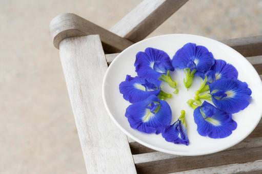 花 青 紫 花 青 紫の写真