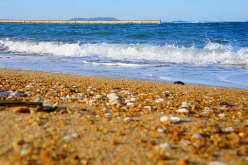 福岡県、シーサイドももち海浜公園21 風景,日本,九州の写真素材