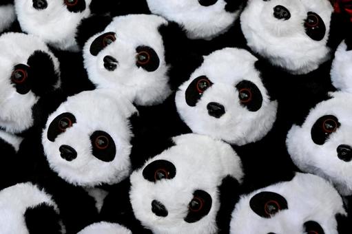 パンダがいっぱい パンダ,ぬいぐるみ,お土産の写真素材