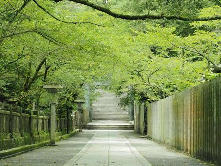 金刀比羅の参道 金刀比羅の参道 shrine,金刀比羅,琴平の写真素材