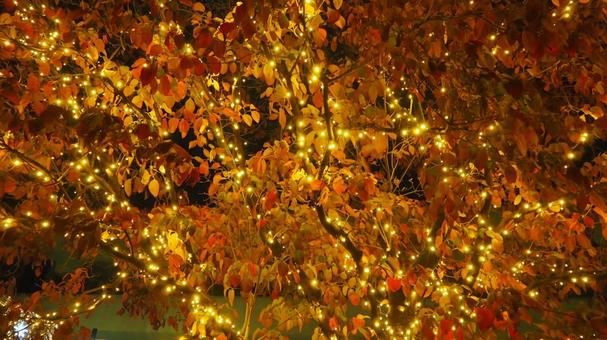 高崎駅周辺のクリスマスイルミ（高崎市） クリスマス,イルミネーション,冬の写真素材