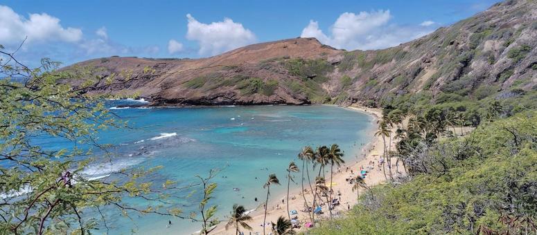 エメラルドグリーンの湾 エメラルドグリーンの湾 ハワイ,海,ビーチの写真素材