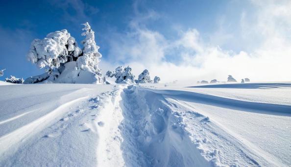青空と雪 青空と雪の写真