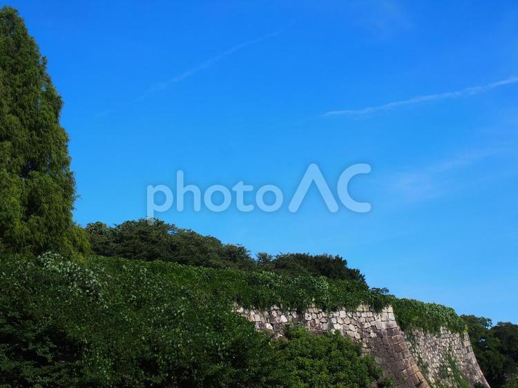 大阪城公園の堀 堀,大阪城公園,空の写真素材