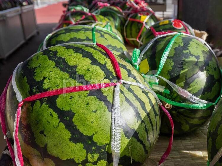 農家の直売所 重くて大きく新鮮な スイカ スイカ,販売,直売所の写真素材