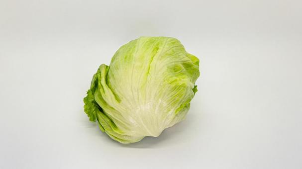 新鮮なレタス 白背景 新鮮なレタス 白背景 レタス,野菜,サラダの写真素材