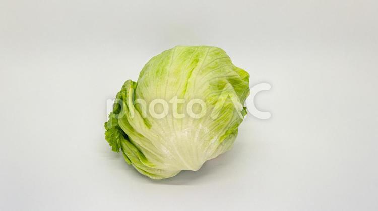 新鮮なレタス　白背景 レタス,野菜,サラダの写真素材