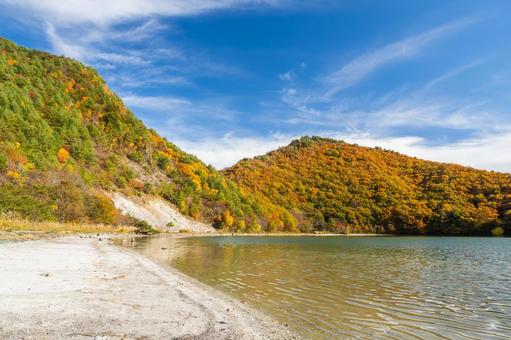 潟沼の秋⑸ 秋,紅葉,黄葉の写真素材
