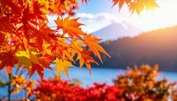 美しい紅葉と青空 美しい紅葉と青空の写真