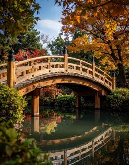 紅葉と桟橋 紅葉と桟橋の写真