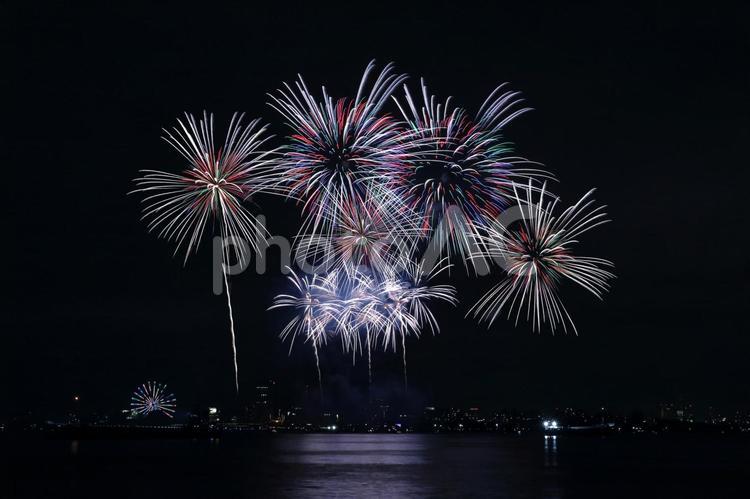 花火　夏のイメージ 花火,夏,夏祭りの写真素材